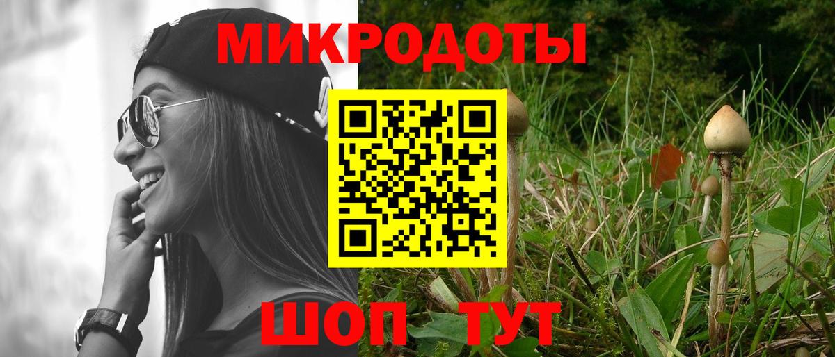 Галлюциногенные грибы прущие грибы  Вход с VPN  Луховицы 