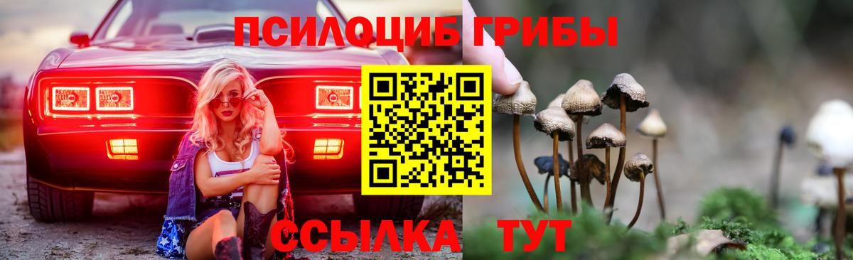 Псилоцибиновые грибы MAGIC MUSHROOMS Луховицы